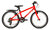 Raleigh Performance MTB 20" Childs Bike