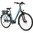 Ridgeback Electron Di2 e-bike Electric Bike 2020
