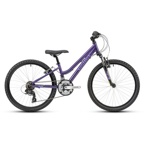 Ridgeback 2021 Destiny 24" Junior Bike