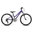 Ridgeback Destiny 24" Junior Bike