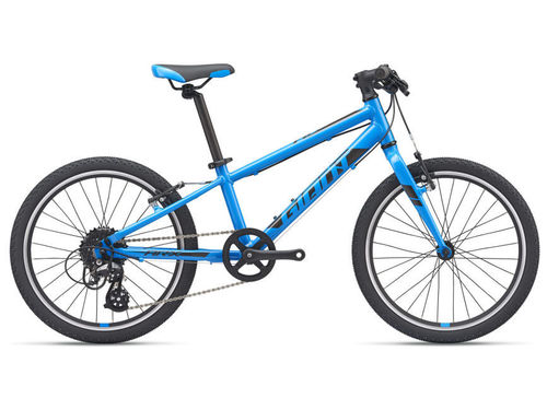 Giant 2021 ARX 20 , Lightweight Kids 20" Wheel Bike