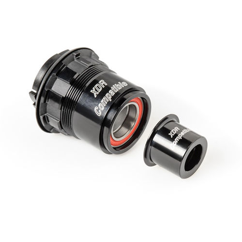 DT Swiss Pawl freehub conversion kit for SRAM XDR 142 / 12 mm